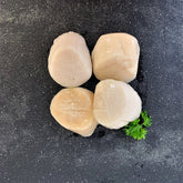 GotoPopupYYC - Scallops - Large U10 - Wild Caught - USA East Coast - 4pc -M4F-SCL-0001